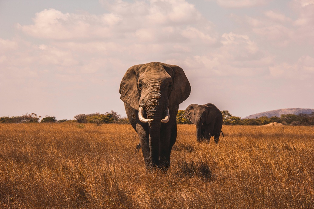 Tourism and Hospitality